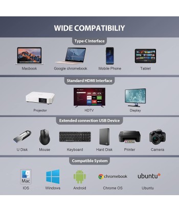 Station d'accueil 13 en 1 4K HDMIx2,VGA x1,USB 3.0x2,USB 2.0x2,SD/TF Gigabit Ethernet Audio la colonne vertébrale