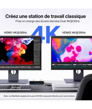 Station Accueil Compatible MacBook Pro Adaptateur Secteur 100W 12en1 HDMI RJ45 USB NOIR une grave pollution 