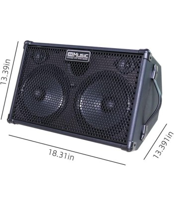 Amplificateur 2x60W Guitare Acoustique Haut-parleur Bluetooth Portable Effet Reverb Chorus Delay 7 Entrées français