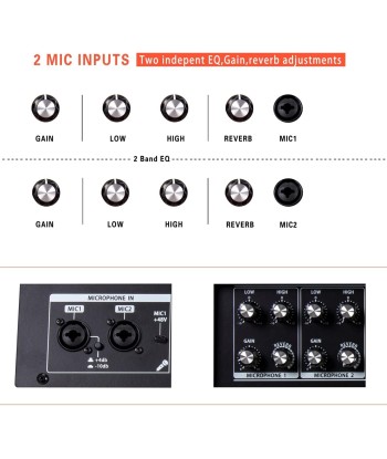 Amplificateur 2x60W Guitare Acoustique Haut-parleur Bluetooth Portable Effet Reverb Chorus Delay 7 Entrées français