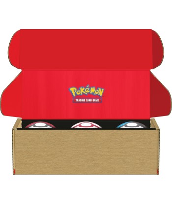 Lot de Boîtes Poké Ball, Poké Ball Honor Ball et Lune Ball 9 boosters du JCC Pokémon et 7 Pages d’Autocollants Economisez 